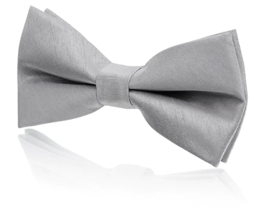 Strik voor jongens, zilver, polyester dupion, voorgestrikt Strik voor jongens, zilver, polyester dupion, voorgestrikt