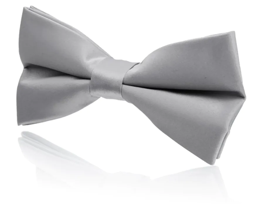 Strik voor jongens, zilver, polyester, voorgestrikt Strik voor jongens, zilver, polyester, voorgestrikt