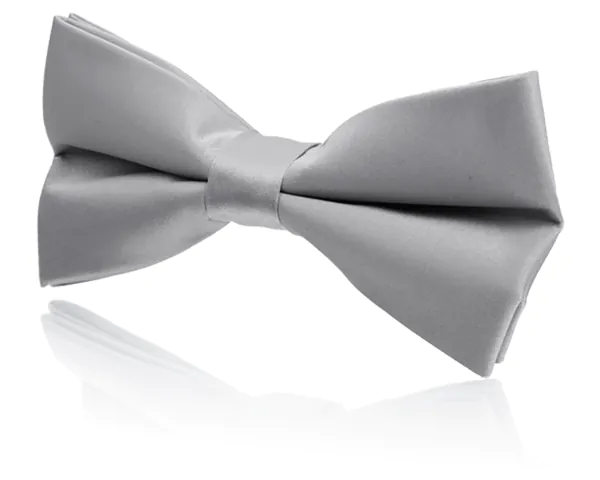 Zilver jongens cumberband & voor-gestrikte strik set - photo 1