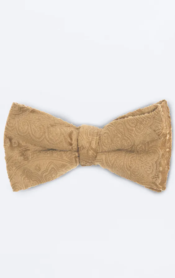 Goudkleurig paisley fluwelen strik