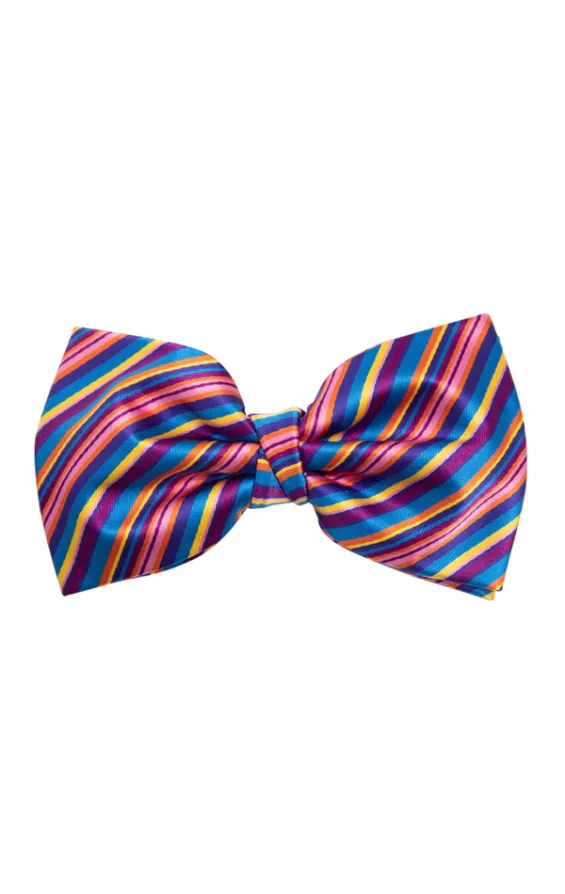 Regenboog strik