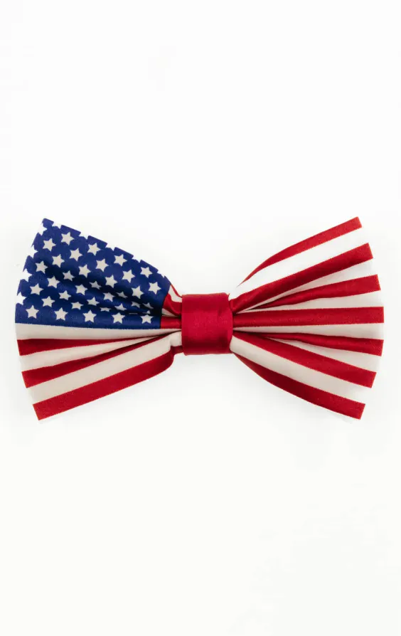 Strik met Amerikaanse vlag, polyester Strik met Amerikaanse vlag, polyester