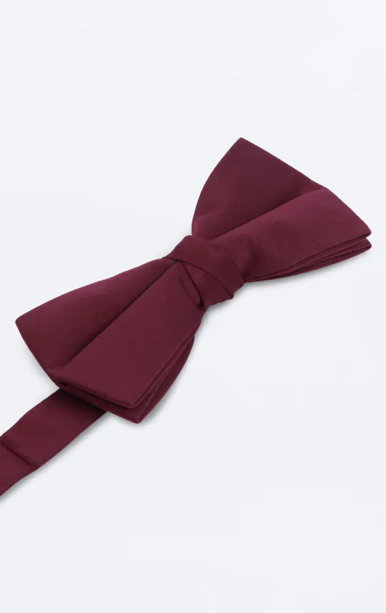 Groot bordeaux polyester strik, voorgestrikt - photo 1