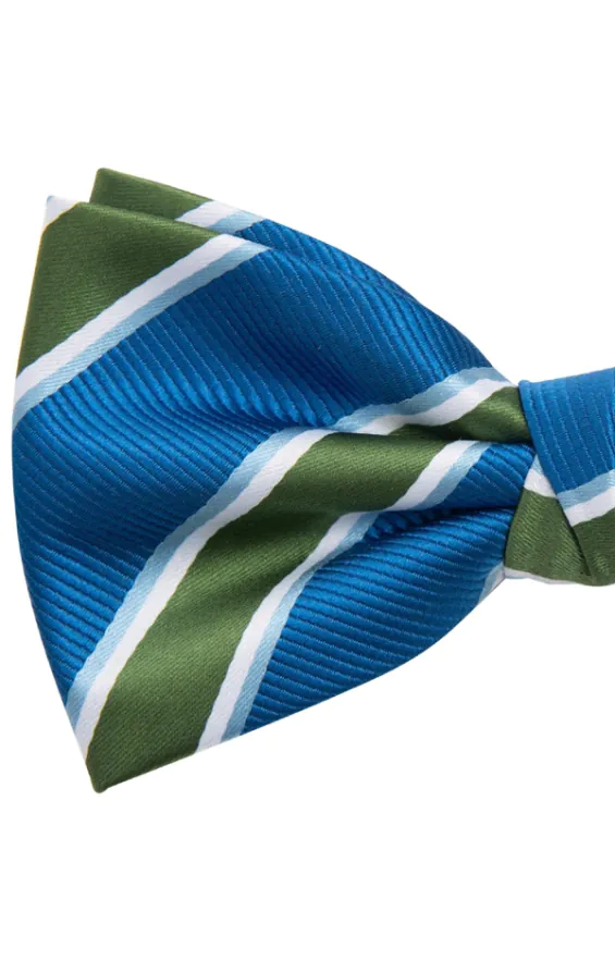 Groen & blauw gestreepte strik - photo 1