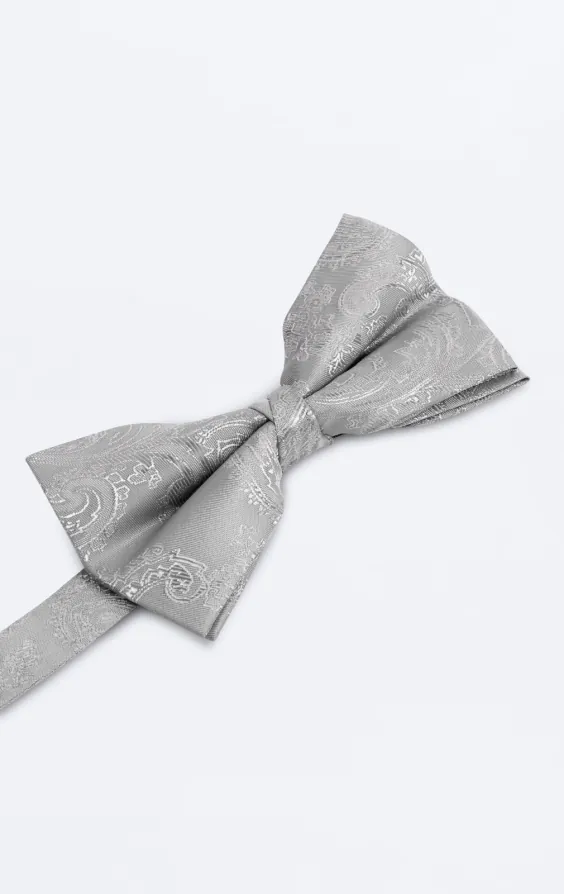 Zilveren paisley strik - photo 1