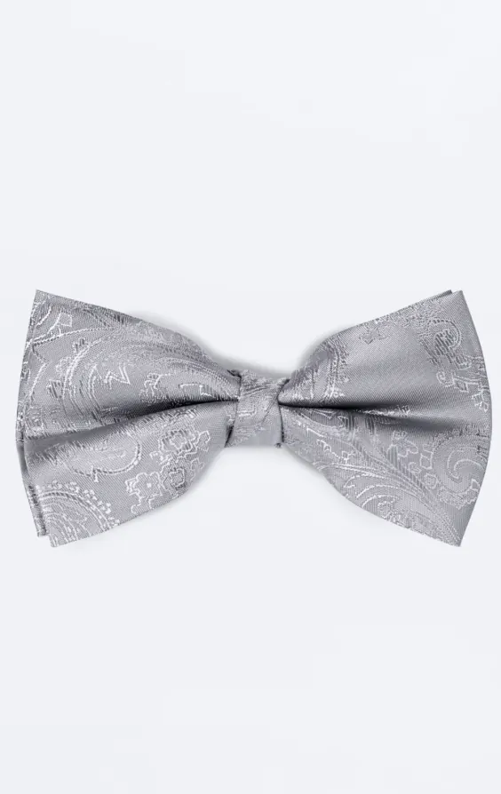 Zilveren paisley strik