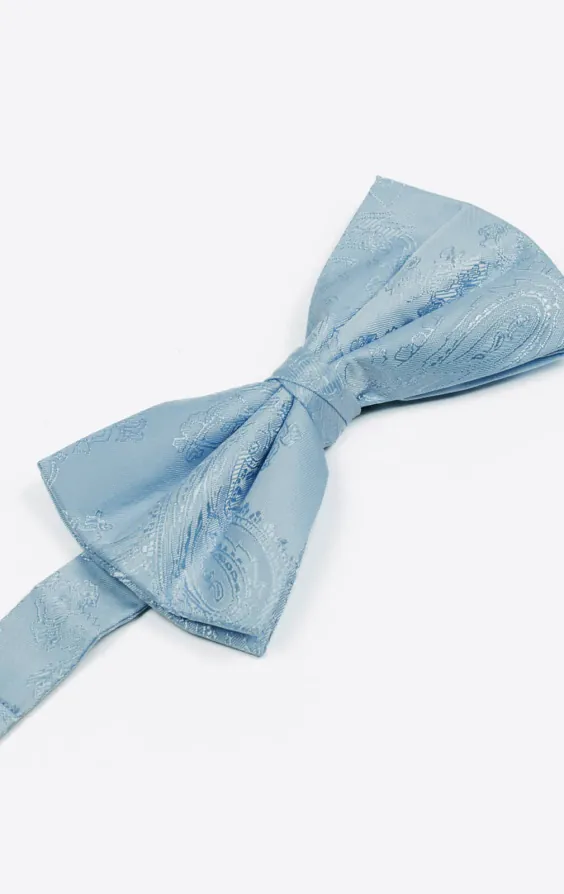 Licht blauwe paisley strik - photo 1 Licht blauwe paisley strik - photo 1