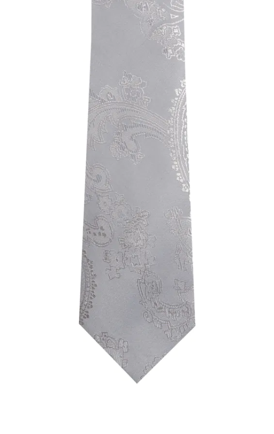 Zilver paisley jongens stropdas - photo 1
