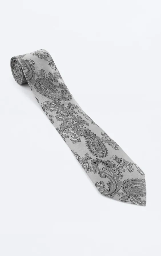Grijs paisley stropdas - photo 2