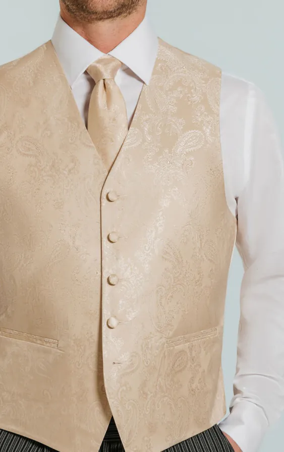 Aspen goudkleurige paisley gilet - photo 2
