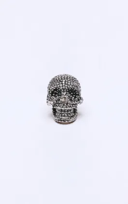 Schedel revers broche
