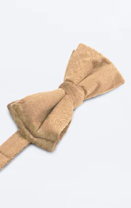 Goudkleurig paisley fluwelen strik