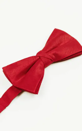 Strik in rood, polyester dupion, voorgestrikt - Groot