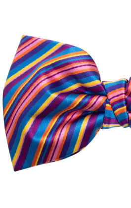 Regenboog strik