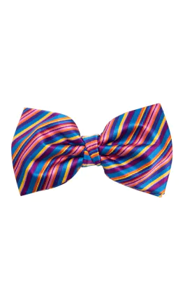 Regenboog strik