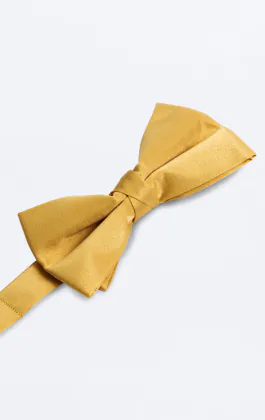 Voorgestrikte gouden strik