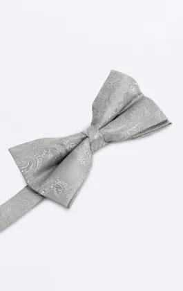 Zilveren paisley strik