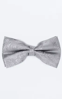 Zilveren paisley strik