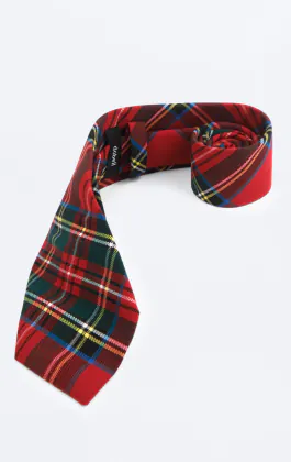 Rood geruite stropdas