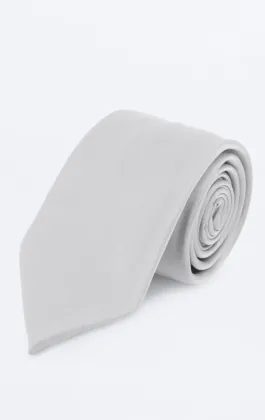 Poly stropdas in zilver